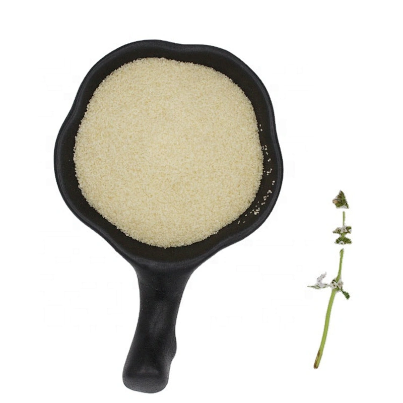 Food additive Bovine bone gelatin Halal gelatin Halal bovine bone gelatin